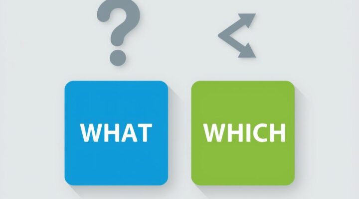 What e Which diferença: Guia Completo com Exemplos e Exercícios